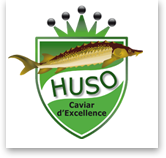 Œufs de Saumon - Caviars & Oeufs de poissons - CAVIAR DE NEUVIC - HUSO SAS