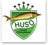 HUSO : Caviar d'Excellence